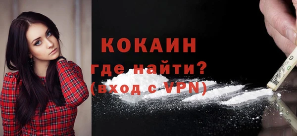 бошки Бородино