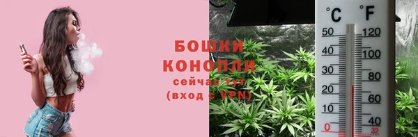 бошки Бородино