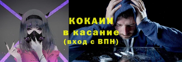 бошки Бородино