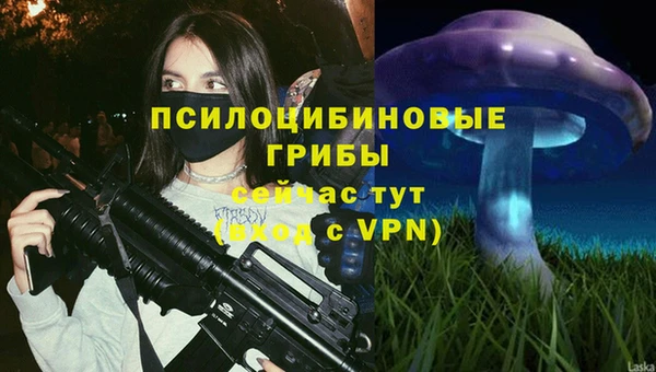 бошки Бородино