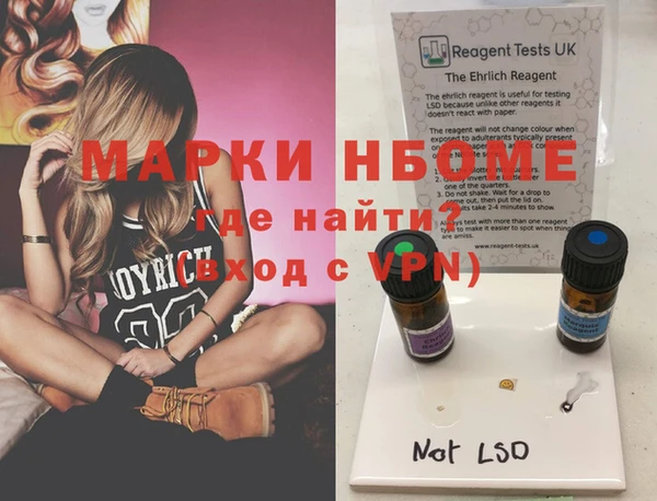 бошки Бородино
