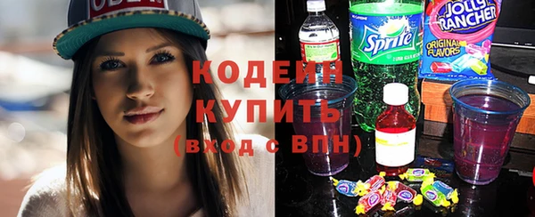 бошки Бородино